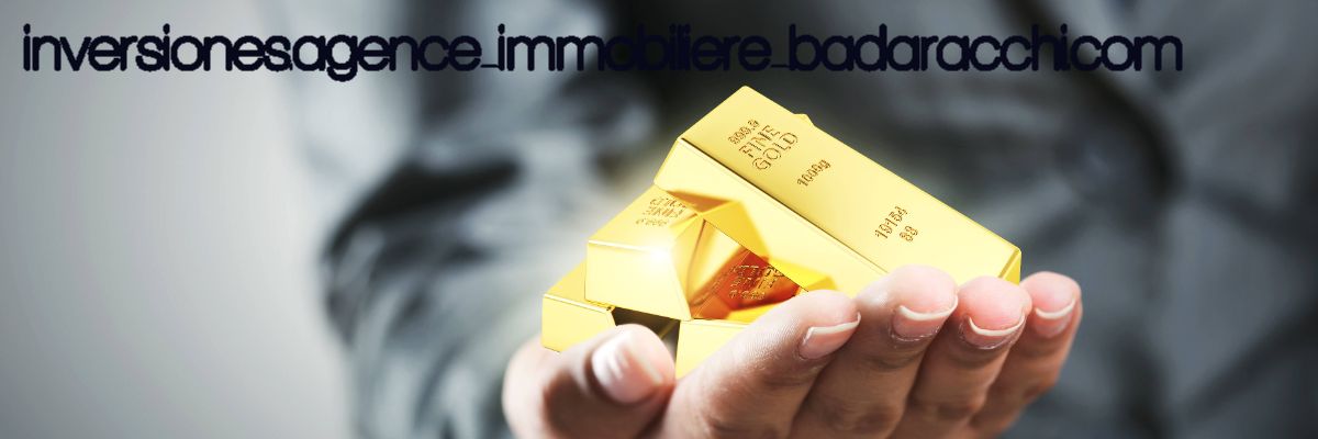 inversiones.agence-immobiliere-badaracchi.com
